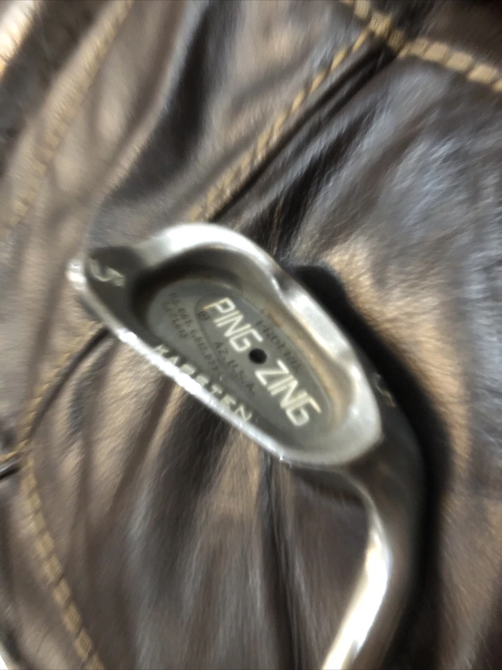 Ping Zing Black Dot 5 ferro Karsten ZZ-Lite eixo de aço rígido - Imagem 1 de 4