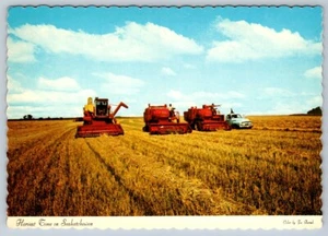 Harvest Time In Saskatchewan, Chrome Postcard #2 - Picture 1 of 2