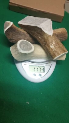 3 Thick XL ELK  ANTLER XXL DOG CHEW SPLITS Deer Moose Treats Large Over 1# - Image 1 of 4