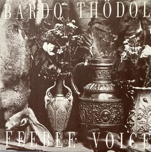 BARDO THODOL - FEEBLE VOICE 7” RARE JAPAN DARK WAVE AUTO-MOD GOTHIC ASYLUM SODOM - Picture 1 of 4