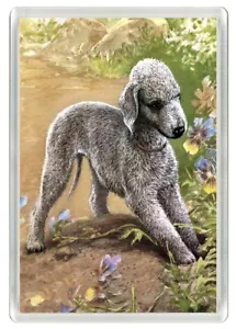 BEDLINGTON TERRIER HUND GRABEN KUNSTDRUCK NEUHEIT KÜHLSCHRANKMAGNET TOLLES GESCHENK - Bild 1 von 1