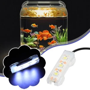 Small Aquarium Water Plant LED Lamp Light Desktop Fish C0D2 Tank Mini Light W7N4 - Picture 1 of 14