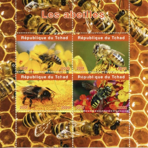 Chad Bees Stamps 2020 CTO Honey Bee Insects 4v M/S Cover