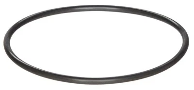 Polaris Backplate O-Ring for PB4-60 Booster Pump R0536600 - Image 1 of 2
