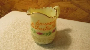 Antique Souvenir Custard Glass Pitcher Telbasta Nebraska - Picture 1 of 2