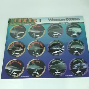 Pogs Sharks Whales Dolphins Custom Caps Sealed On Card NEW - Picture 1 of 4