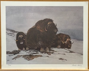 Charles Gause "Wild and Wooly" Signed /#'d Limited Edition FULL Sized - Picture 1 of 12