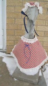 GOOSE CLOTHES / PIN WHEEL FLAGS & STARS GOOSE OUTFIT - Picture 1 of 3