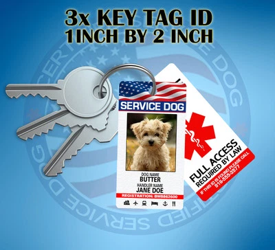 LLAVERO TARJETA DE IDENTIFICACIÓN DE PERRO DE SERVICIO - Personalizado CON SU INFORMACIÓN - TARJETA DE IDENTIFICACIÓN PEQUEÑA  Foto 1 de 3