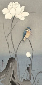 Kingfisher with Lotus Flower by Ohara Koson Japanese Woodblock - Picture 1 of 7