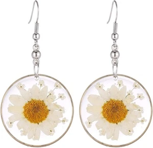 FM FM42 Multi-Colored Pressed White Daisy & Queen Anne's Lace - Picture 1 of 2