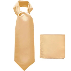 New polyester solid men's full ASCOT cravat necktie set wedding prom Beige - Picture 1 of 3