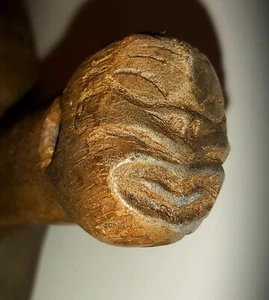 Polynesia; Maori, Kotiate (late 19th / early 20th). - Picture 1 of 18