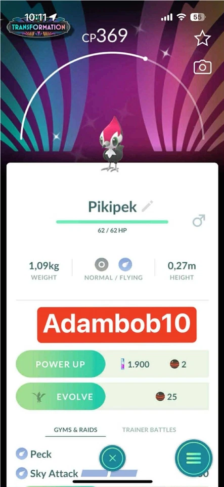 Pokémon--Go--Shiny Pikipek Special Background---Mini--PTC--OR-Trade-20K--dust - Image 1 of 1
