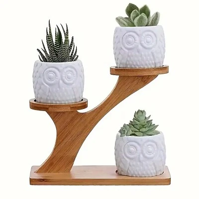 Kleiner Bambus Pflanzenständer stilvoll dreistöckig für 3 Töpfe 18cm x 12cm #50 - Bild 1 von 4