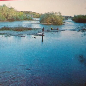 California Postcard - Man Fishing In The Beautiful Sacramento River At Redding - Picture 1 of 4