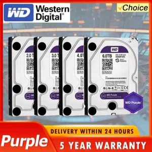 WD 1TB 2T 3T 4TB HDD Blue PC Purple Surveillance Hard Drive Western Digital 3.5" - Picture 1 of 5