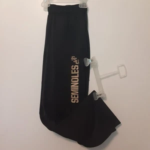 Florida State Seminolen Nike Jogginghose Jugend Jungen XL schwarz ThermaFit NCAA - Bild 1 von 12