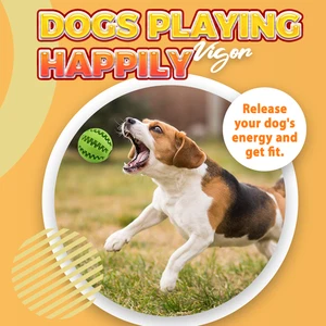 Dog Puppy Teething Chew Dental Cleaning Treat Healthy Toy Rubber Play Pet Puzzle - Bild 1 von 15