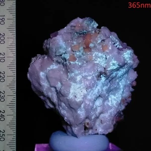 Apatite UV reactive Purple Fluorapatite crystals on Albite matrix specimen 874ct - Picture 1 of 9