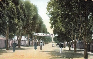 LP49 Santa Catalina Island Tent City Avalon California 1908 Postcard - Picture 1 of 2