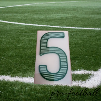 FLOCAGE OFFICIEL SPORTING ID / OFFICIAL NUMBER PORTUGAL AWAY COENTRAO EURO 2012 - Photo 1/3