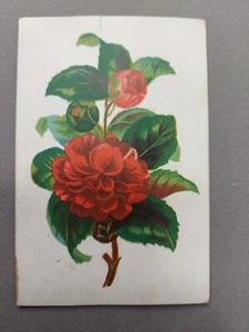 Vintage Victorian Advertising Trading Card Excellent German Household Dyes - Picture 1 of 2