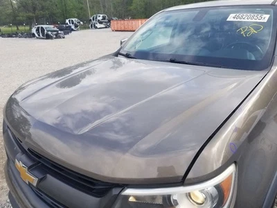 15-22 CHEVY COLORADO HOOD BROWN - HAS HEAVY HAIL DAMAGE - Image 1 of 4