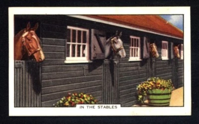 Gallaher Racing Scenes (1938) In the stables No. 7 - Image 1 of 2