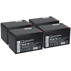 Batterie Akku-Pack kompatibel f. E-Scooter MZ Charly MUZ Elektroroller E-Roller  - Bild 1 von 8