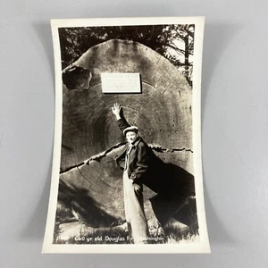 660 Yr Year Old Douglas Fir Washington RPPC Postcard Unposted Logging Tree Rings - Picture 1 of 7