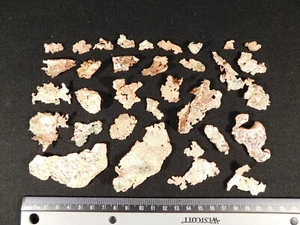 HUGE Lot of COPPER Nuggets or Native Copper Float 100% Natural 114gr - Picture 1 of 15