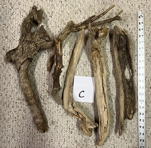 5 Pcs Driftwood 14-18" Long Lake Erie Freshwater Crafting Reptiles Terrarium (C) - Picture 1 of 3