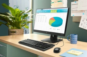 HP t310 G2 All-in-One PCoIP Zero Client TERA2321 24" Full HD 512MB RAM 32MBFlash - Afbeelding 1 van 8