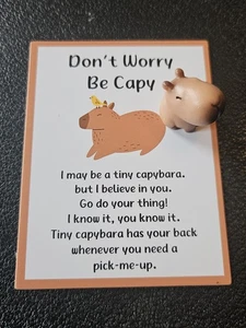 Abbraccio tascabile / regalo Capybara per animali domestici  - Foto 1 di 5