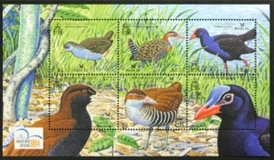 SOLOMON ISLANDS 2004 #983 Birds, Water Hen etc S/S Mint NH (LotG818) - Picture 1 of 1