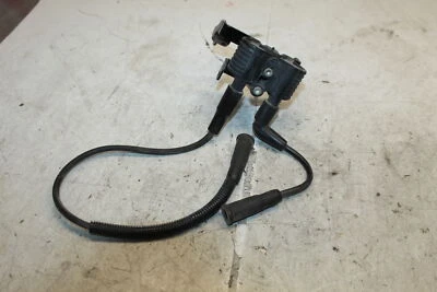 Harley-Davidson Sportster 1200 2007 50 aniversario XL50 bobinas de encendido Foto 1 de 4