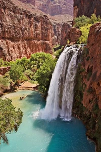 Impresión de póster de plantas de rocas de cascada Havasu Falls cerca de Supai, Arizona 18 x 24 pulgadas - Imagen 1 de 1