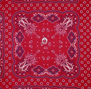 BonEful FABRIC Cotton Quilt Red White Blue Bandana Paisley Flower Block US SCRAP - Picture 1 of 8