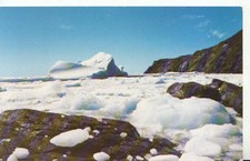 Canada Postcard - St Anthony Point - Northern Newfoundland - Ref TZ2399