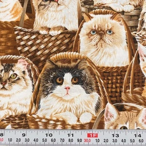 Timeless Treasures Cats in Baskets Cotton Fabric Remnant 6" x 43" - Picture 1 of 2