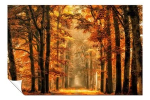 Park in Autumn Golden leaves Foliage Artistic Poster Wall Art Home Decor - Picture 1 of 4