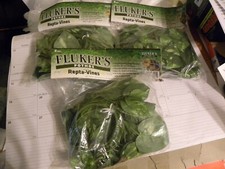 3 LOT Fluker's Repta Vines Pothos for Reptiles and Amphibians 6 feet each pack