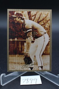 1994 TED WILLIAMS #LP1 LARRY BIRD LIMITED PRINT BOSTON CELTICS