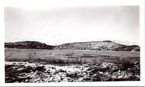Gänse auf Grand Field, Klamath Lake Oregon Foto Anfang des 20. Jahrhunderts - Bild 1 von 2