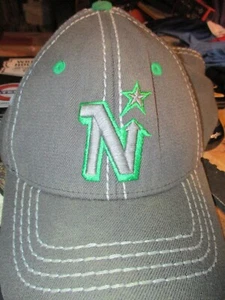 Gray MINNESOTA NORTH STARS Logo XL Hat By Zephyr - Picture 1 of 4