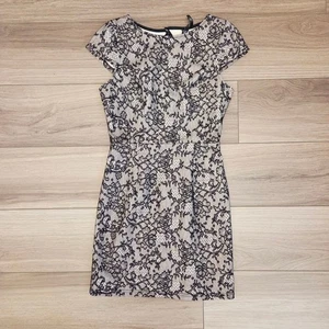 Minikleid Damen Windsor Schwarz & Creme Spitze S - Bild 1 von 8