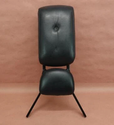 Kawasaki Vulcan 1600 2004-2008 MEANSTREAK VN1600 respaldo barra almohadilla Foto 1 de 4