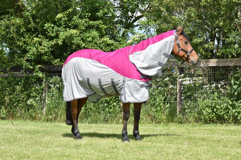 AUTUMNN EQUESTRIAN Pferdefliegenteppich 2 in 1 Wasserdicht Fliegenteppich mit Wahlbeteiligung Top Hybrid Fliegenteppich Fliegenteppich