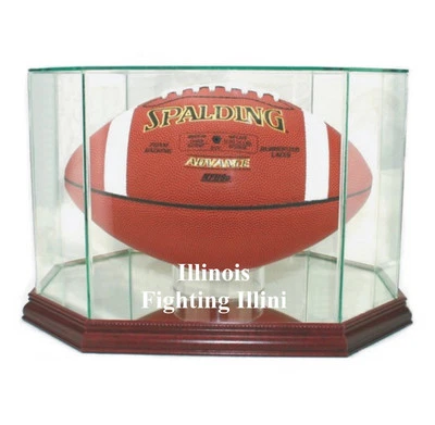 Illinois Fighting Illini F/S Football Display Case NCAA - Image 1 of 4
